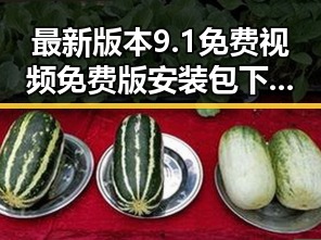 最新版本9.1免费视频免费版安装包下载指南