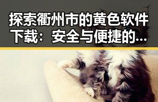 探索衢州市的黄色软件下载：安全与便捷的选择指南