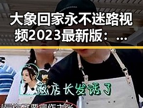 大象回家永不迷路视频2023最新版：温暖感人的动物归巢故事