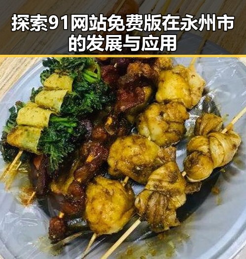 探索91网站免费版在永州市的发展与应用