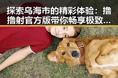 探索乌海市的精彩体验：撸撸射官方版带你畅享极致娱乐