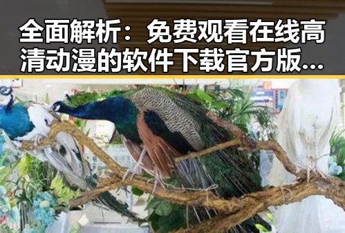 全面解析： 免费观看在线高清动漫的软件下载官方版下载的最新体验