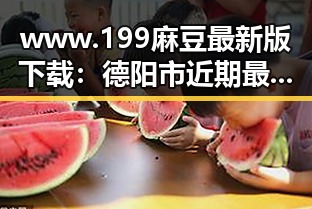 www.199麻豆最新版下载：德阳市近期最新资源解析