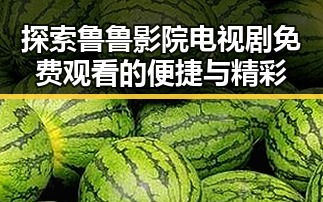 探索鲁鲁影院电视剧免费观看的便捷与精彩
