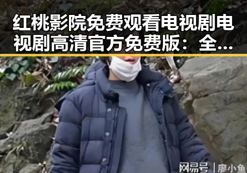 红桃影院免费观看电视剧电视剧高清官方免费版：全面解析在线观看体验